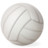  Volleyball ball